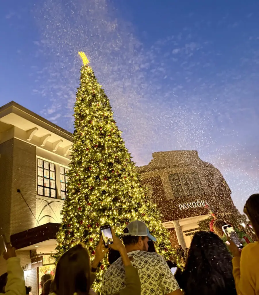 Crowd taking photos as snow falls over a lit Christmas tree at dusk