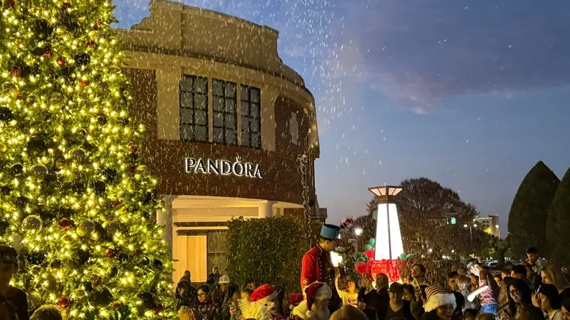 Snow Experiences: falling snow at a holiday tree lighting